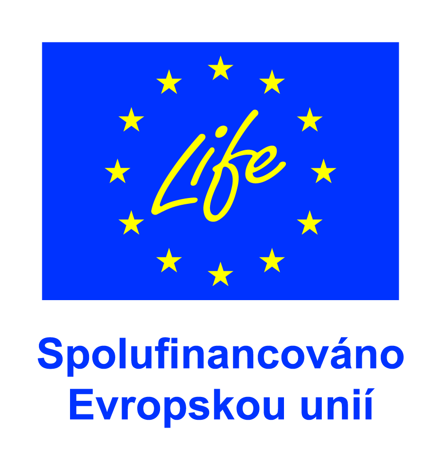 Logo Life.
