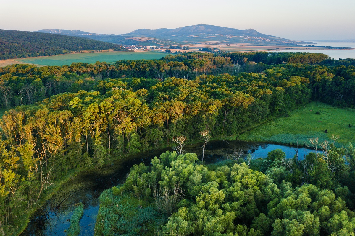 NPR Křivé jezero.