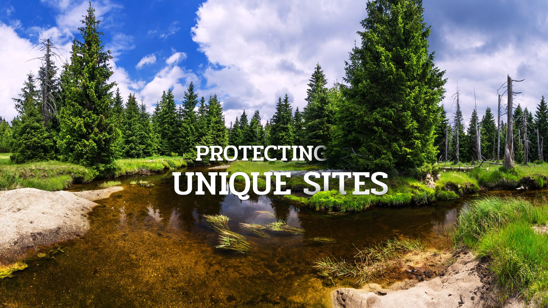 We protect unique sites