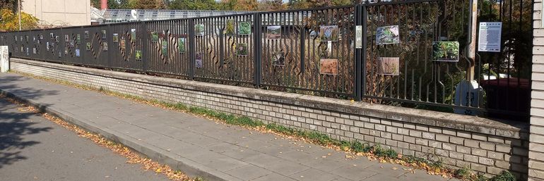 Výstava na plotě.