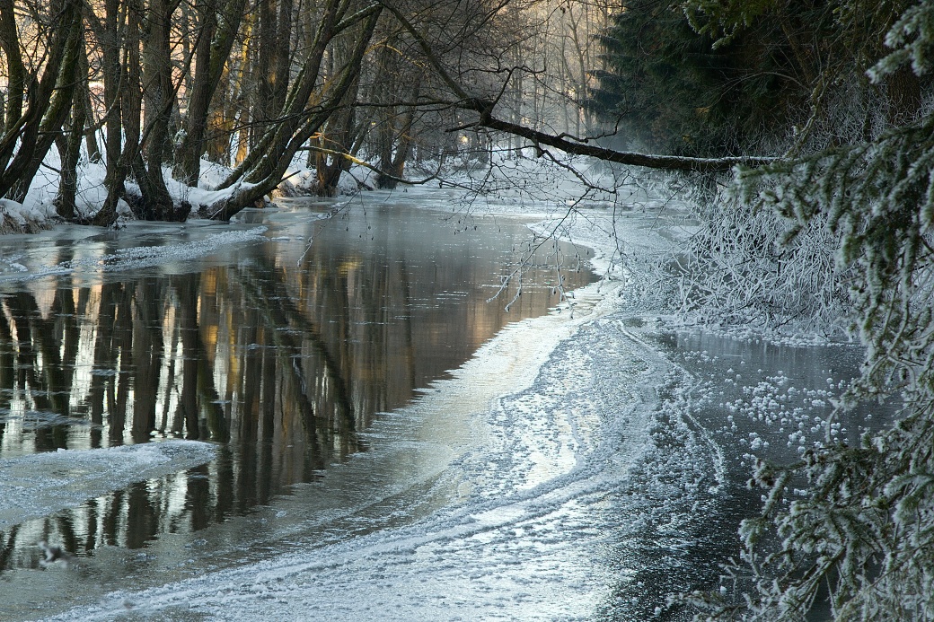 Řeka Chrudimka v zimě u obce Travná pod přírodní rezervací Polom.