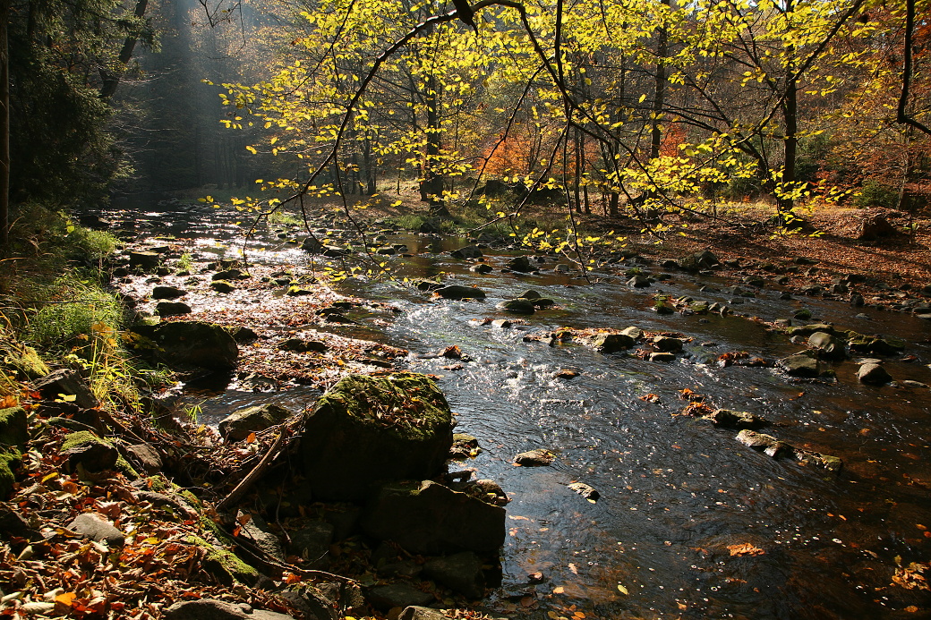 Kamenitá část tok Chrudimky v přírodní rezervaci Srádovské Peklo.